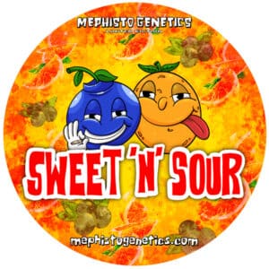 Sweet 'n' Sour Auto