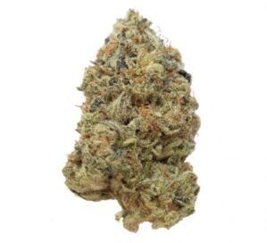 Tangerine G13