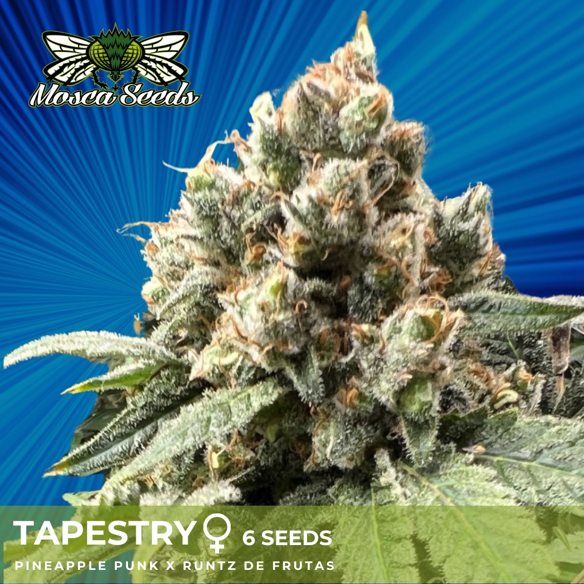 Tapestry