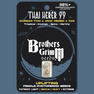Thai Herer 99