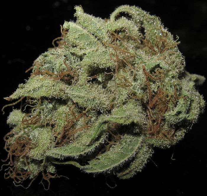 Train Wreck