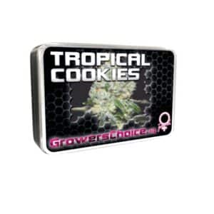 Tropical Cookies