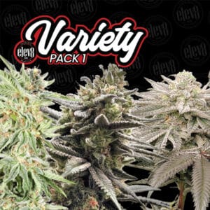 Variety Pack #1