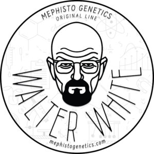 Walter White