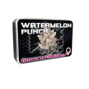 Watermelon Punch