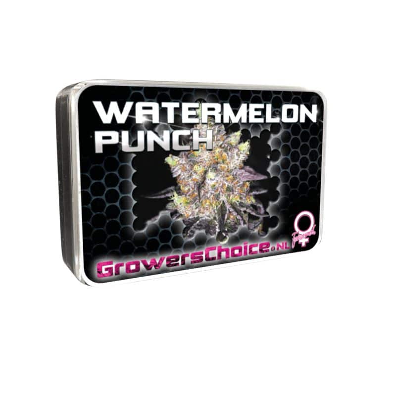 Watermelon Punch