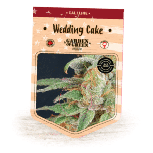 Wedding Cake (Garden of Green)