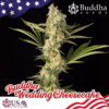 Wedding Cheesecake (Buddha Seeds)