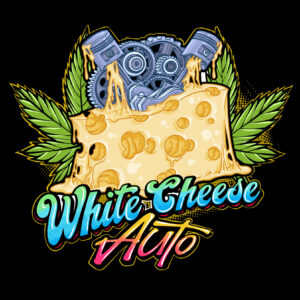 White Cheese Auto (Sumo Seeds)