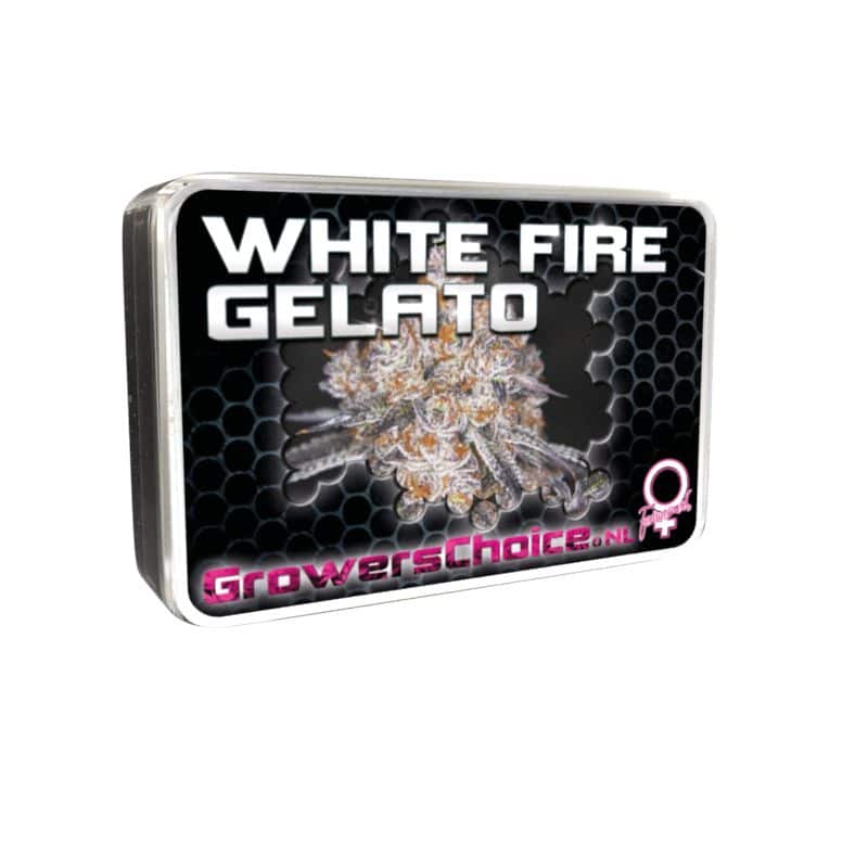 White Fire Gelato