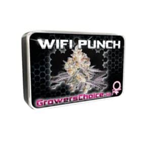 White Fire Punch