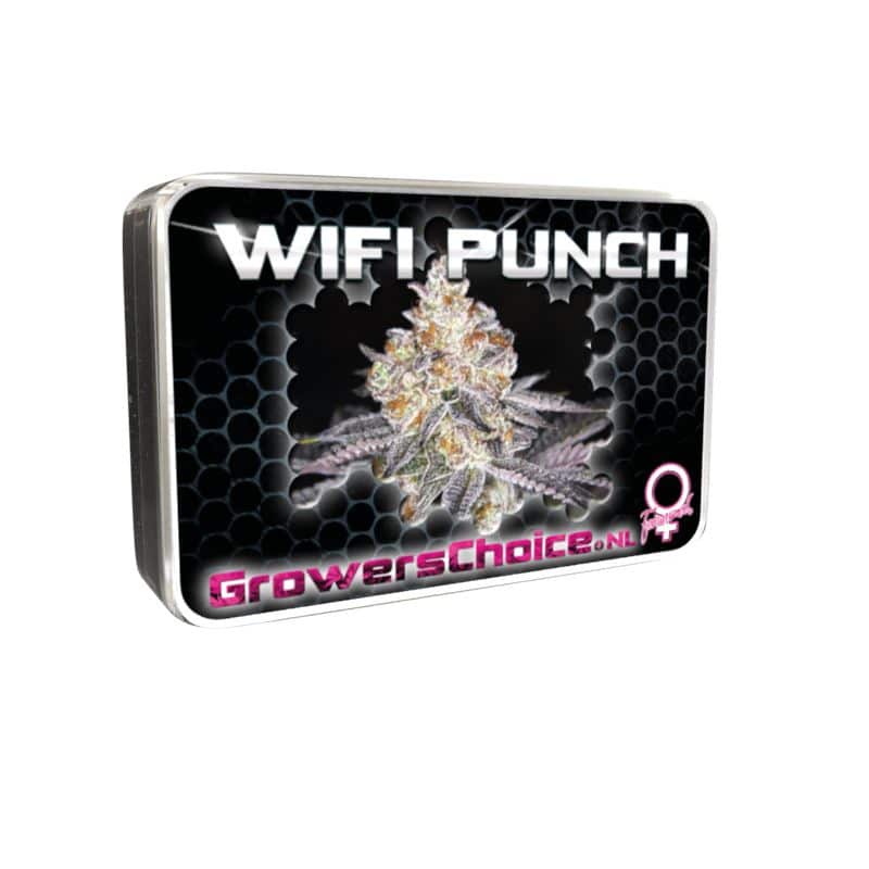 White Fire Punch