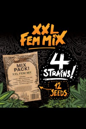 XXL Fem Mix