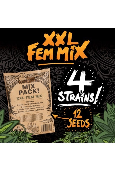 XXL Fem Mix
