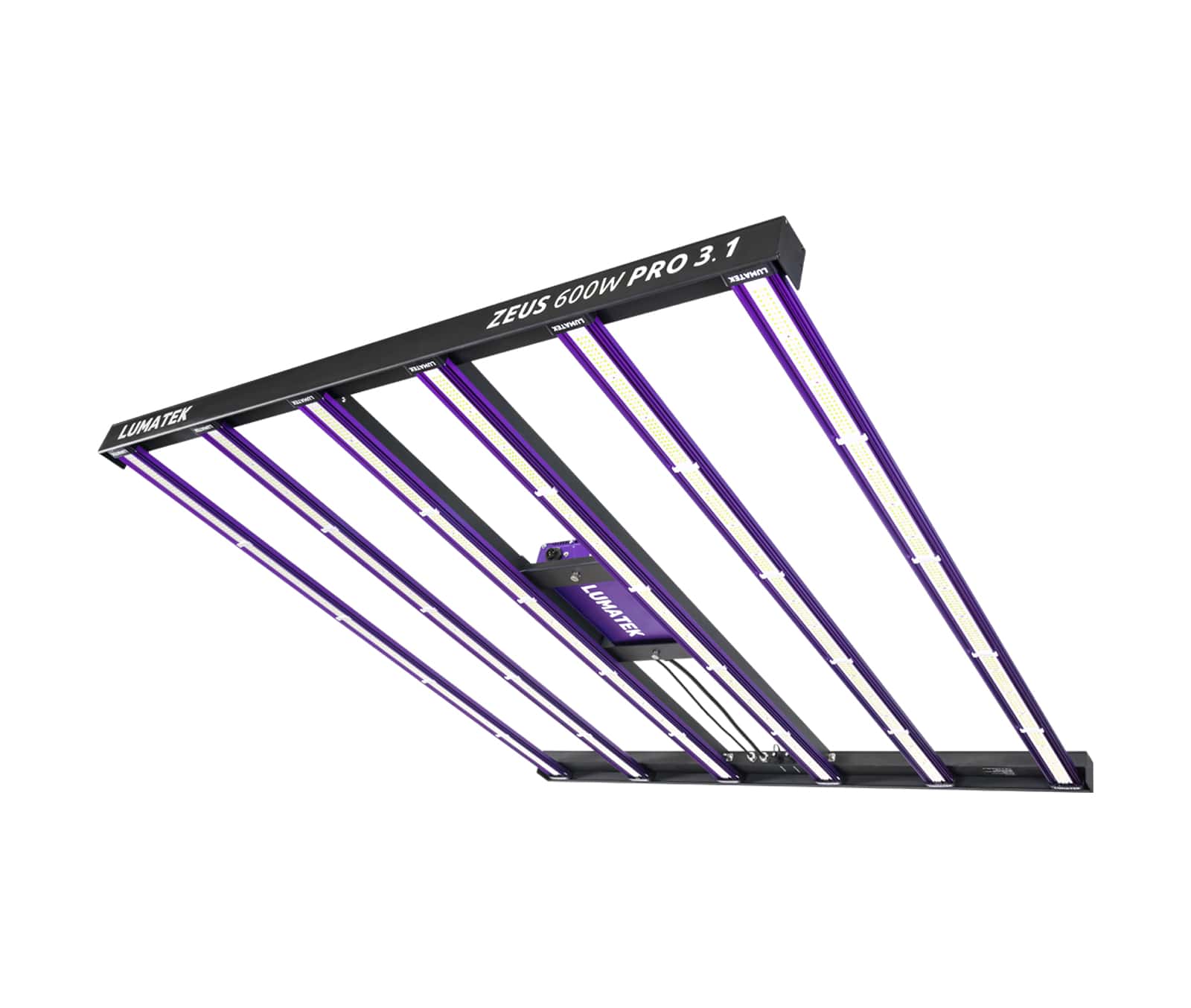 ZEUS 600W PRO 3.1 LED
