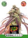 Zkittels Auto
