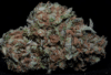 Zkittlez (Big Head Seeds)