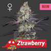 Ztrawberry