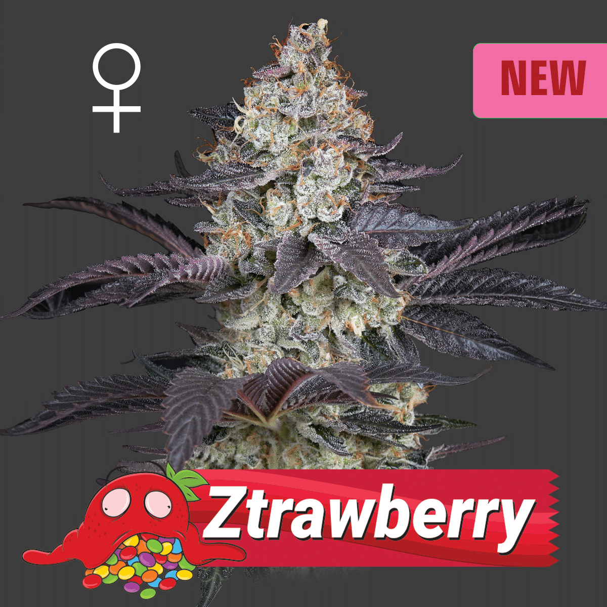 Ztrawberry