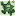 Stargrow.de