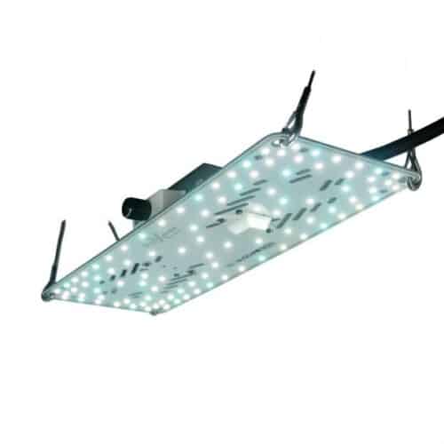 BloomStar FLUXshield Habibi 140 – 50W Wachstum – steckerfertig