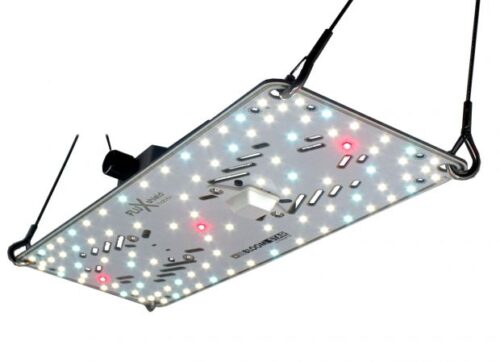 BloomStar FLUXshield Habibi 150 – 50W Vollspektrum – steckerfertig