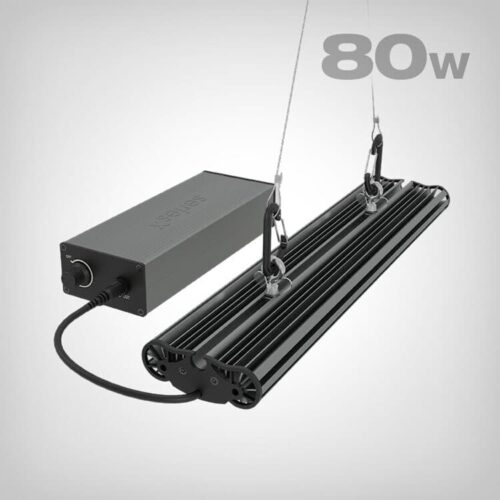 Greenception, GCx 2solo PWR, 80W