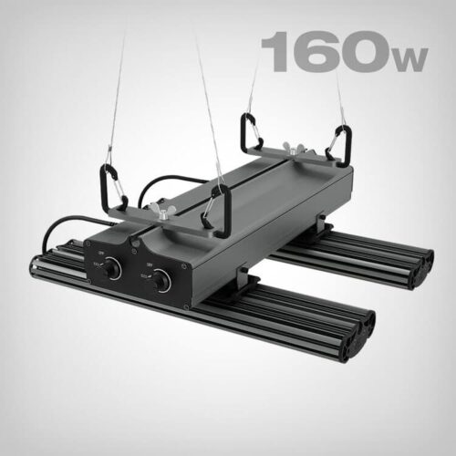 Greenception, GCx 4 PWR, 160W