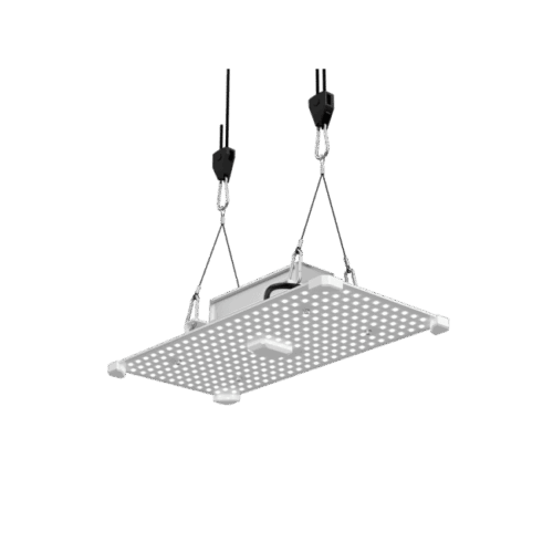 LUMii Black Blade LED, 100W, Wachstumsspektrum