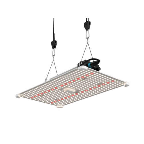 LUMii Black Blade LED Growlampe 200W Pflanzenlampe Anzuchtlampe Vollspektrum