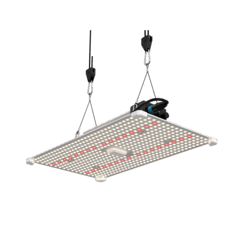 LUMii Black Blade LED Growlampe 200W Pflanzenlampe Anzuchtlampe Vollspektrum