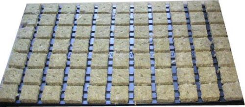 Steinwollwürfel 77 Stück im Tray 4x4cm – Homogene Basis für Keimung und Wurzelbildung
